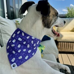 2/$15 Handmade 1” Over the Collar Purple Ghost Dog Bandana